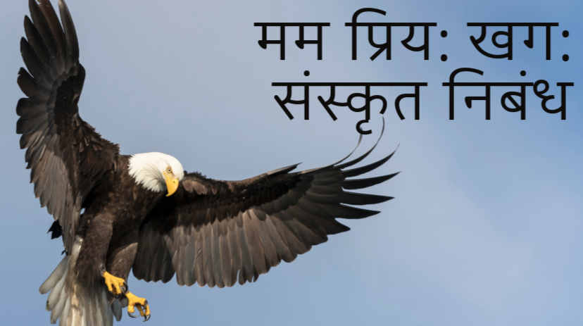 mama priya khaga nibandh in sanskrit, मम प्रिय खग संस्कृत निबंध, मम प्रिय खग संस्कृत निबंध शुक, sanskrit essay on my favourite bird, my favourite bird essay in sanskrit, mama priya khaga, sanskrit anuched mama priya khaga, mama priya khaga nibandh in sanskrit,