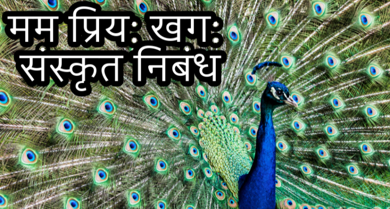 peacock essay in sanskrit, sanskrit essay on my favourite bird peacock, sanskrit essay on my favourite bird, my favourite bird peacock essay sanskrit, मम प्रिय खग मयूर संस्कृत निबंध, mama priya khaga mayur sanskrit nibandh, मम प्रिय खग मयूर,