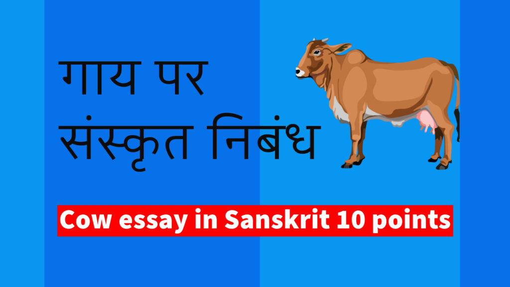 cow essay in sanskrit, cow essay in sanskrit 10 points, cow essay in sanskrit 10 lines, गाय का संस्कृत में निबंध, गाय पर संस्कृत में निबंध, गाय पर संस्कृत में निबंध 10 लाइन, गाय पर संस्कृत में निबंध, धेनु संस्कृत निबंध, धेनु का निबंध संस्कृत में 20 लाइन, धेनु का निबंध संस्कृत में कक्षा 7वी, धेनु का निबंध संस्कृत में कक्षा 9वी, sanskrit nibandh dhenu, dhenu nibandh in sanskrit, 